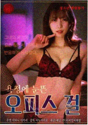 逆风航线 电视剧免费播放